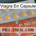 Viagra Capsule 43